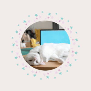 Consultoria Felina