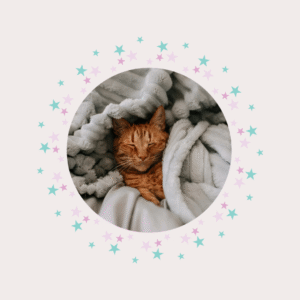 Hospedagem Domiciliar Felina